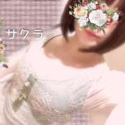 ヒメ日記 2025/06/02 05:16 投稿 サクラ ラブコレクション