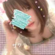 ヒメ日記 2025/06/02 08:46 投稿 サクラ ラブコレクション