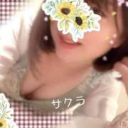 ヒメ日記 2025/06/02 21:16 投稿 サクラ ラブコレクション