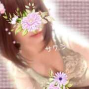 ヒメ日記 2025/06/02 21:31 投稿 サクラ ラブコレクション