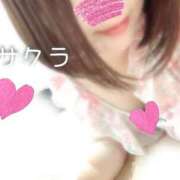 ヒメ日記 2025/06/26 05:16 投稿 サクラ ラブコレクション