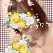 ヒメ日記 2025/06/26 18:01 投稿 サクラ ラブコレクション