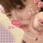 ヒメ日記 2025/06/28 05:16 投稿 サクラ ラブコレクション