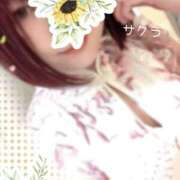 ヒメ日記 2025/06/29 05:01 投稿 サクラ ラブコレクション