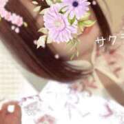 ヒメ日記 2025/06/29 05:16 投稿 サクラ ラブコレクション