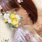 ヒメ日記 2025/06/29 06:31 投稿 サクラ ラブコレクション