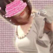 ヒメ日記 2025/06/30 22:01 投稿 サクラ ラブコレクション