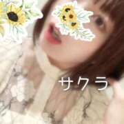 ヒメ日記 2025/07/05 05:16 投稿 サクラ ラブコレクション