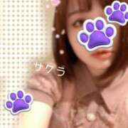 ヒメ日記 2025/07/06 14:31 投稿 サクラ ラブコレクション