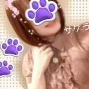 ヒメ日記 2025/07/06 19:31 投稿 サクラ ラブコレクション