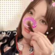 ヒメ日記 2025/07/15 08:31 投稿 サクラ ラブコレクション
