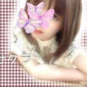 ヒメ日記 2025/07/22 05:16 投稿 サクラ ラブコレクション