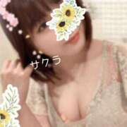 ヒメ日記 2025/07/23 02:46 投稿 サクラ ラブコレクション