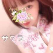 ヒメ日記 2025/07/23 05:16 投稿 サクラ ラブコレクション