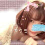 ヒメ日記 2025/07/23 15:31 投稿 サクラ ラブコレクション