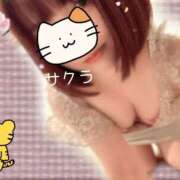 ヒメ日記 2025/07/23 15:46 投稿 サクラ ラブコレクション