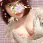 ヒメ日記 2025/07/23 16:01 投稿 サクラ ラブコレクション