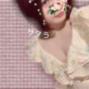 ヒメ日記 2025/07/26 19:16 投稿 サクラ ラブコレクション