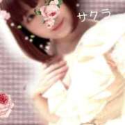 ヒメ日記 2025/07/27 02:01 投稿 サクラ ラブコレクション