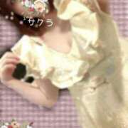 ヒメ日記 2025/07/27 02:16 投稿 サクラ ラブコレクション