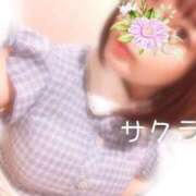 ヒメ日記 2025/07/28 05:16 投稿 サクラ ラブコレクション