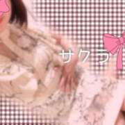 ヒメ日記 2025/07/30 05:16 投稿 サクラ ラブコレクション