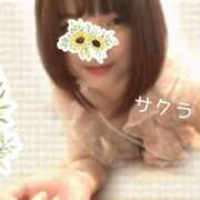 ヒメ日記 2025/07/30 08:16 投稿 サクラ ラブコレクション