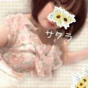 ヒメ日記 2025/07/30 19:31 投稿 サクラ ラブコレクション