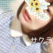 ヒメ日記 2025/07/31 05:16 投稿 サクラ ラブコレクション