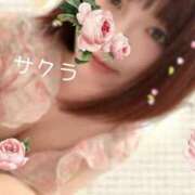 ヒメ日記 2025/07/31 09:01 投稿 サクラ ラブコレクション