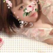 ヒメ日記 2025/07/31 11:16 投稿 サクラ ラブコレクション