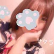 ヒメ日記 2025/08/02 05:16 投稿 サクラ ラブコレクション