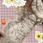 ヒメ日記 2025/08/02 09:01 投稿 サクラ ラブコレクション