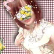 ヒメ日記 2025/08/02 14:31 投稿 サクラ ラブコレクション