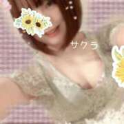 ヒメ日記 2025/08/03 20:16 投稿 サクラ ラブコレクション