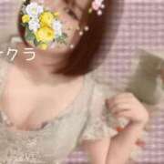 ヒメ日記 2025/08/04 05:16 投稿 サクラ ラブコレクション