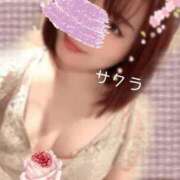 ヒメ日記 2025/08/04 07:46 投稿 サクラ ラブコレクション