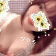 ヒメ日記 2025/08/04 11:46 投稿 サクラ ラブコレクション