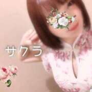 ヒメ日記 2025/08/06 05:16 投稿 サクラ ラブコレクション