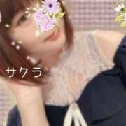 ヒメ日記 2025/08/06 15:16 投稿 サクラ ラブコレクション