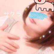 ヒメ日記 2025/08/09 05:16 投稿 サクラ ラブコレクション