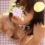 ヒメ日記 2025/08/09 16:16 投稿 サクラ ラブコレクション