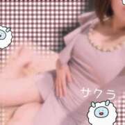 ヒメ日記 2025/10/16 05:16 投稿 サクラ ラブコレクション