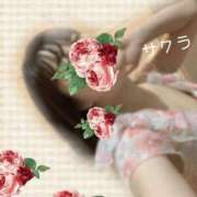 ヒメ日記 2025/10/16 11:31 投稿 サクラ ラブコレクション