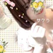 ヒメ日記 2025/10/16 14:01 投稿 サクラ ラブコレクション