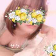 ヒメ日記 2025/10/17 05:16 投稿 サクラ ラブコレクション