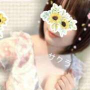 ヒメ日記 2025/10/17 20:31 投稿 サクラ ラブコレクション