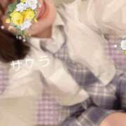 ヒメ日記 2025/10/18 20:16 投稿 サクラ ラブコレクション