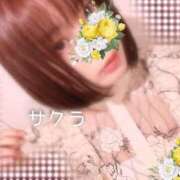 ヒメ日記 2025/10/22 05:31 投稿 サクラ ラブコレクション