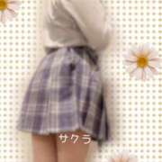 ヒメ日記 2025/10/23 05:46 投稿 サクラ ラブコレクション